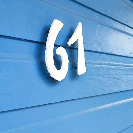 Moehneaue Urlaub Mit Hund *