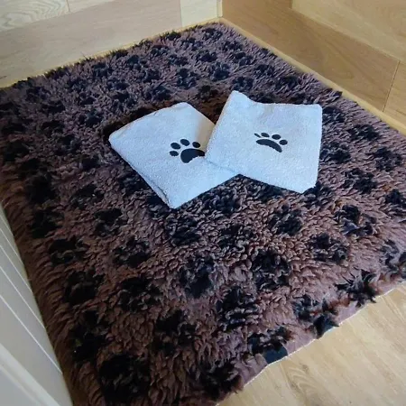 펜션 Moehneaue Urlaub Mit Hund *