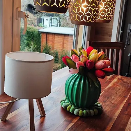 Moehneaue Urlaub Mit Hund 펜션 모네시