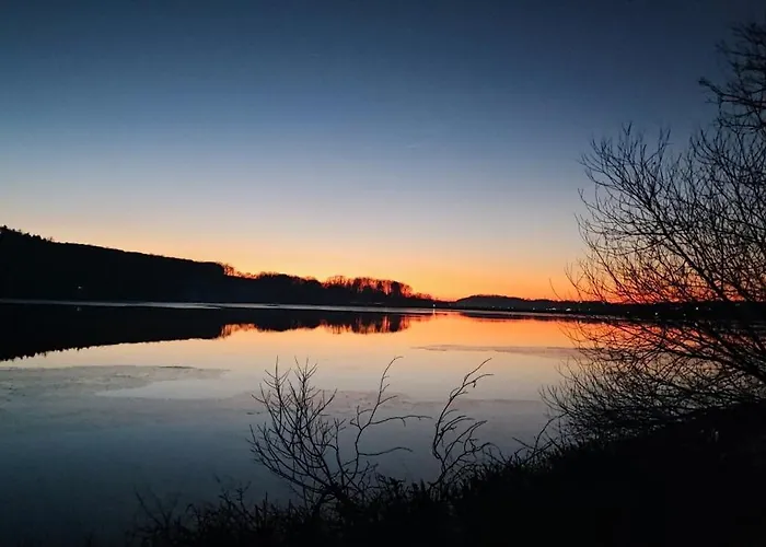 Moehneaue Urlaub Mit Hund