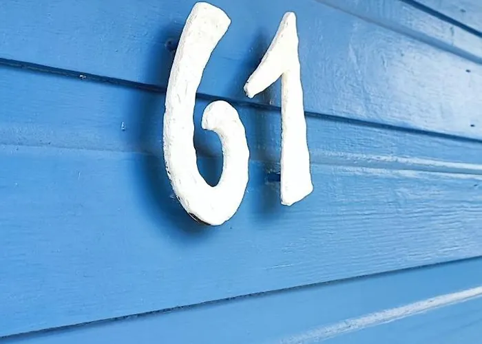 Moehneaue Urlaub Mit Hund *