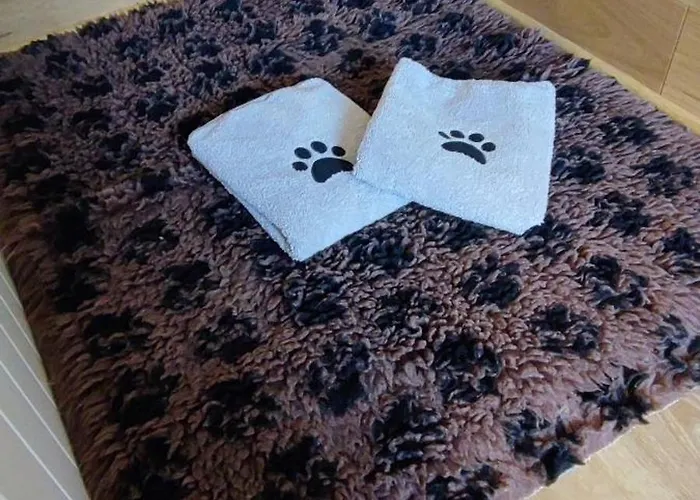 Vakantiehuis Moehneaue Urlaub Mit Hund *