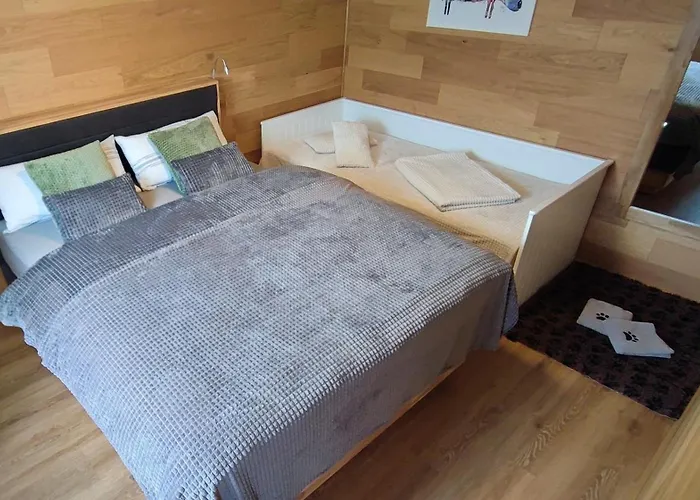 Vakantiehuis Moehneaue Urlaub Mit Hund