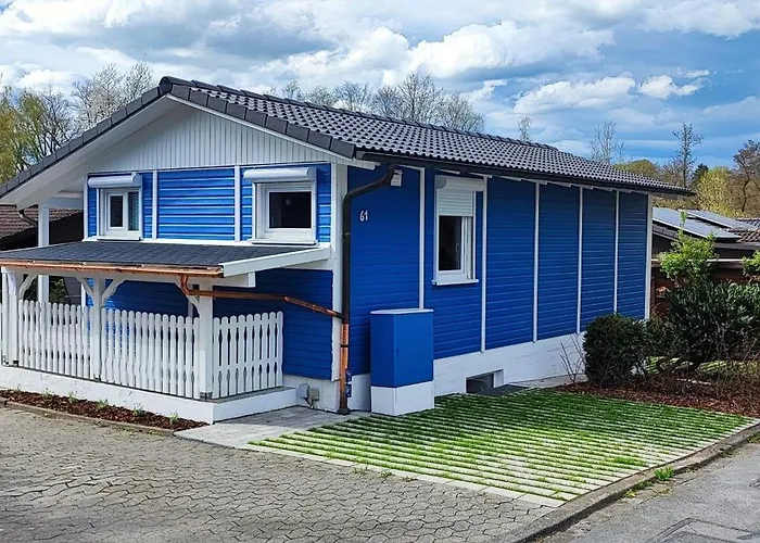 Moehneaue Urlaub Mit Hund *